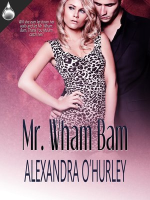 cover image of Mr. Wham Bam